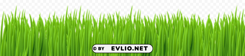 spring grass ground Transparent PNG Isolated Graphic Detail