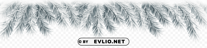 christmas snowy branches Clean Background Isolated PNG Graphic Detail