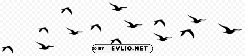 flying birds silhouettes Isolated Character with Transparent Background PNG