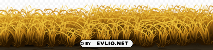 wheat ground transparent Clear background PNGs