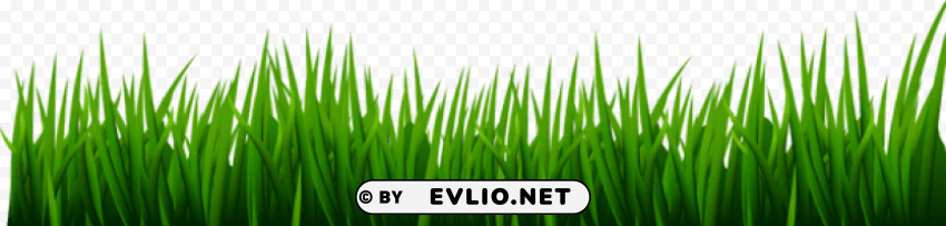 grass PNG pictures with no background required