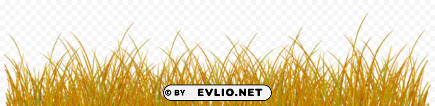 autumn grass Isolated Character in Clear Transparent PNG