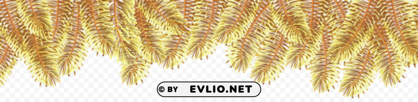 gold pine branches border top High-quality transparent PNG images