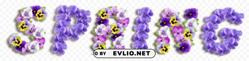 Spring Violetspicture PNG Transparent Images For Printing