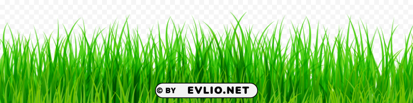 Green Grass Isolated Item On Transparent PNG