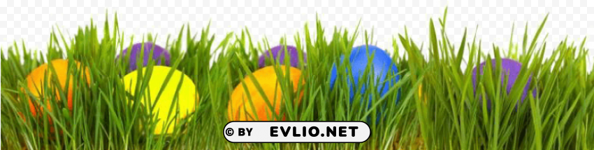 easter eggs in grass Isolated Character on HighResolution PNG