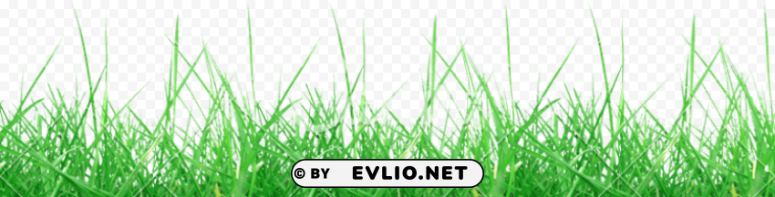 grass background Isolated Icon in HighQuality Transparent PNG