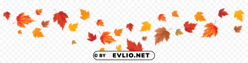 fall leaves Transparent Background PNG Isolated Element