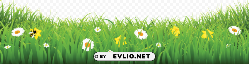 flower & grass pic Isolated Icon on Transparent Background PNG