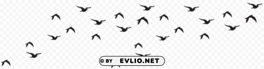 birds flock silhouette Isolated Element with Transparent PNG Background