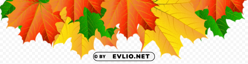 fall leaves border PNG images for graphic design
