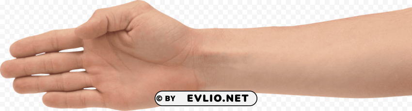 hands PNG file without watermark