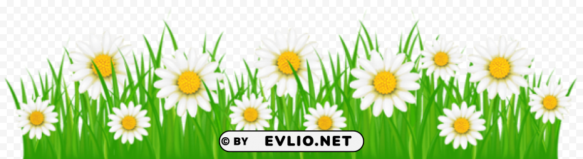 grass ground with white flowers Isolated Graphic on Clear PNG