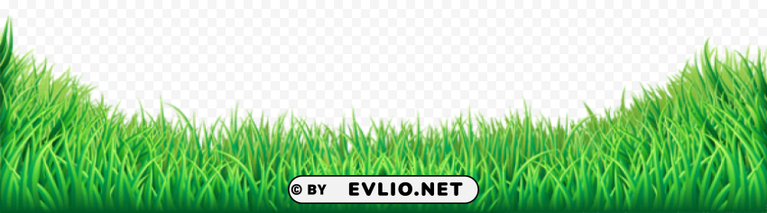 grass PNG Object Isolated with Transparency