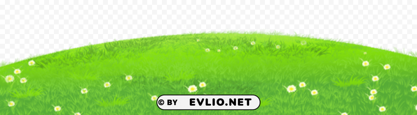 grass with daisies Isolated Subject in Transparent PNG
