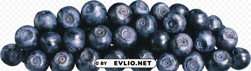 blueberries PNG graphics with clear alpha channel broad selection