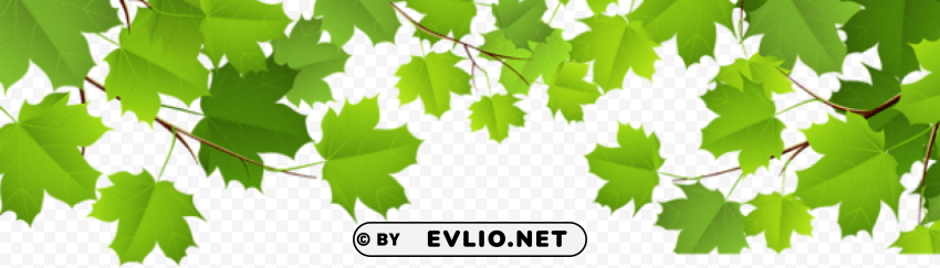 decorative leaves Transparent PNG Illustration with Isolation