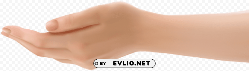 Hand Isolated Subject In HighQuality Transparent PNG