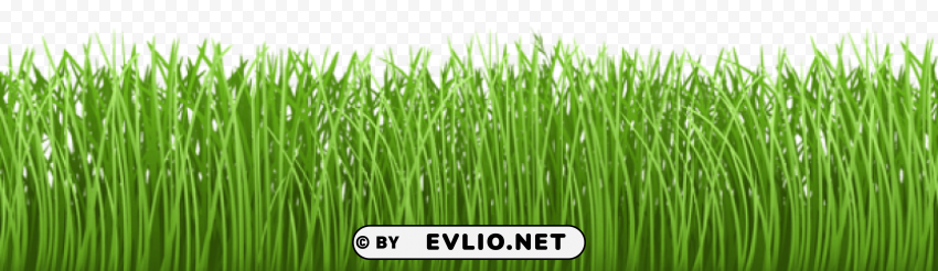 grass ground cover Transparent PNG images extensive variety
