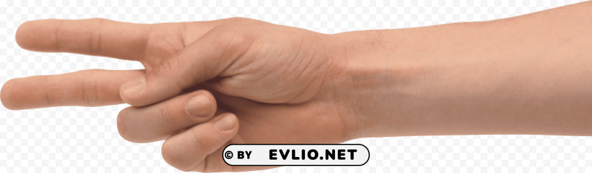 two finger hand Isolated Item on Transparent PNG Format