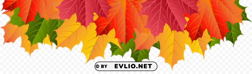 fall leaves border transparent PNG images for editing