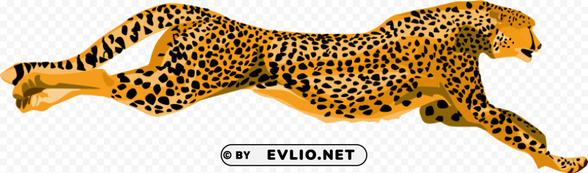cheetah PNG files with no background wide assortment