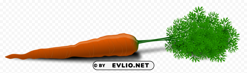 carrot PNG for presentations clipart png photo - 17cb1488