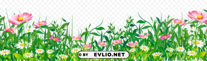 PNG image of grass with flowers Isolated Icon in Transparent PNG Format with a clear background - Image ID cec317f1