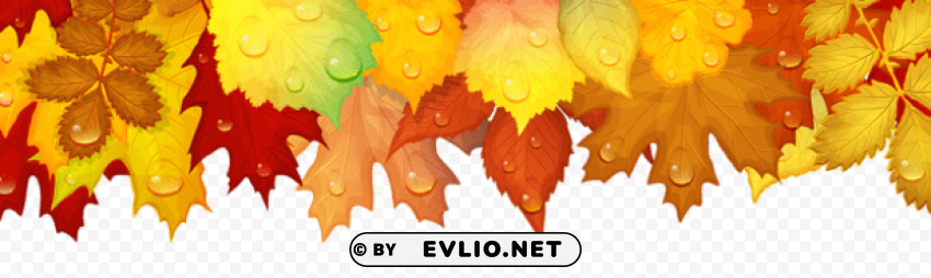 fall leaves deco border PNG images for merchandise