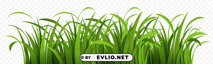 grass High-resolution PNG images with transparency wide set