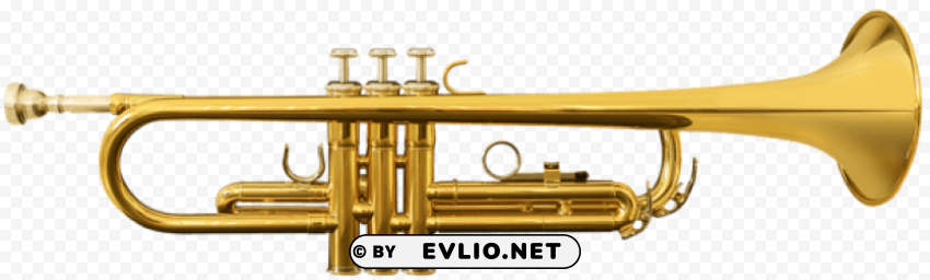 trumpet PNG clip art transparent background