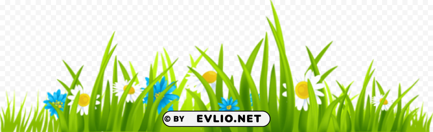 grass ground with flowerspicture Isolated Item with Transparent Background PNG