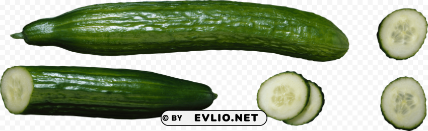 cucumber Transparent PNG images complete library