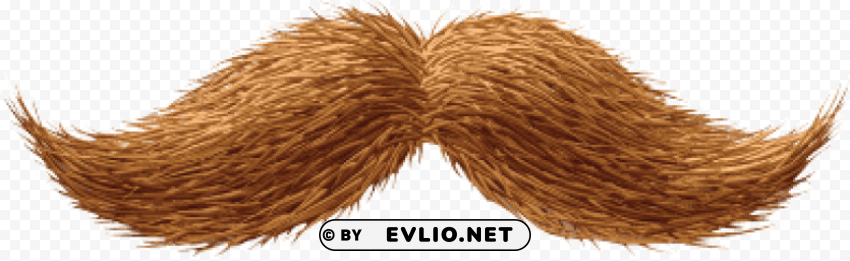 Transparent background PNG image of ginger moustache PNG images with clear alpha channel - Image ID e0b9e70e