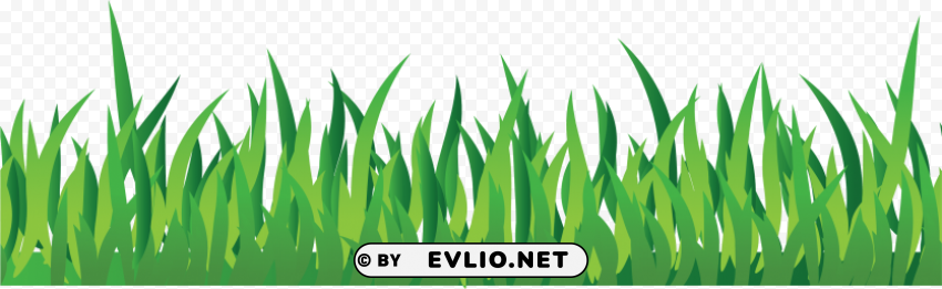 grass HighResolution Transparent PNG Isolated Graphic
