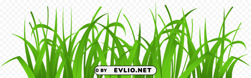 grass HighQuality Transparent PNG Isolation PNG transparent with Clear Background ID f7c8f4f5