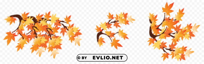 autumn branches with leaves Transparent Cutout PNG Graphic Isolation