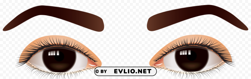 female brown eyes Transparent Background PNG Isolated Element