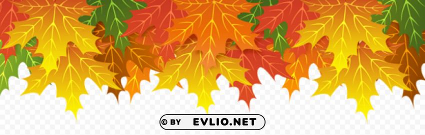 fall leaves upper border PNG images for advertising