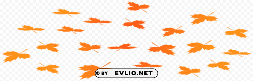 fallen autumn leaves PNG images with no royalties