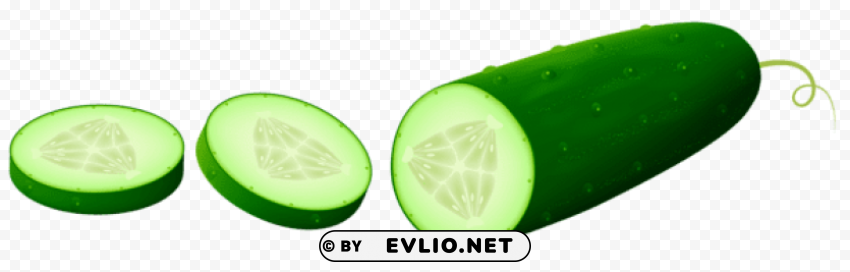  sliced cucamberpicture Transparent PNG images with high resolution