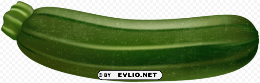 zucchini transparent Free PNG images with alpha channel compilation