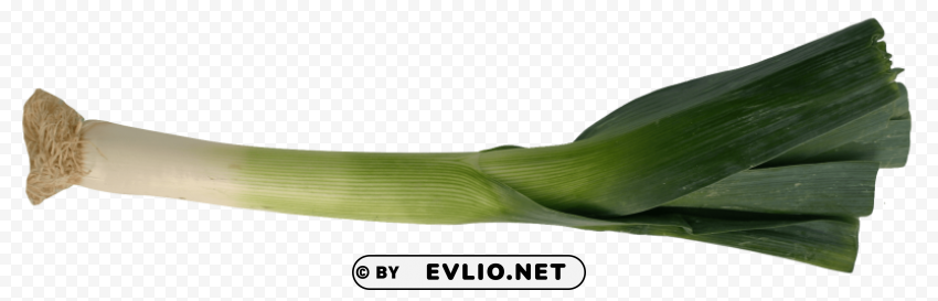 leek Free PNG transparent images