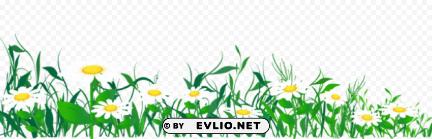 daisies and grasspicture Isolated Icon on Transparent Background PNG