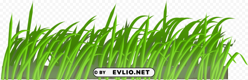 grass Isolated Artwork in HighResolution Transparent PNG