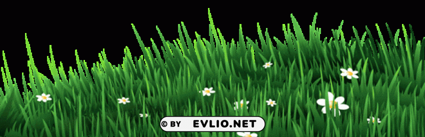 transparent grass with white daisies Isolated Design Element in HighQuality PNG