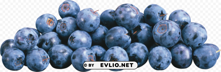 blueberries Isolated PNG on Transparent Background