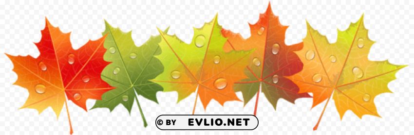 autumn leaves with dew drops PNG images with high transparency