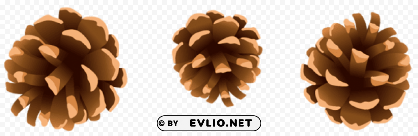 pine cones HighResolution Transparent PNG Isolated Element