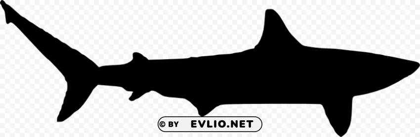 shark silhouette Clear Background PNG Isolation